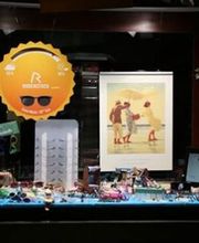 Optik Gneist am Zoo Bild 2