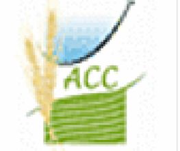 Acti Compta Conseil image 4