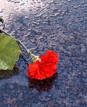 Desson Et Fils SARL image 4