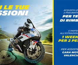 Euromaster Tasini Gomme immagine 15