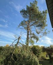 Bouche Nicolas image 2