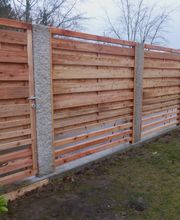 Stark im Garten Bild 39