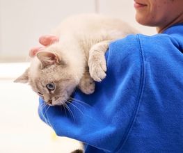 Tierarztpraxis am Schellenberg Bild 3