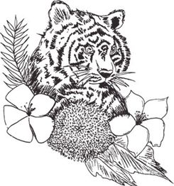 Silver Tiger Spa Cologne