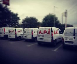 A . P . I . image 4