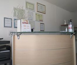 Gallery Cliente