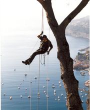 Olivier Nature image 3