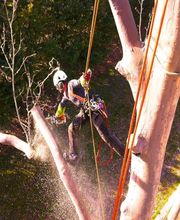 Accès Cimes image 2