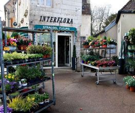 Strassel Fleurs image 2