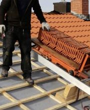 Zigler Johnny image 2