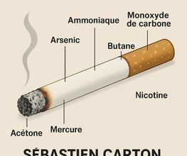 Carton Sébastien image 4