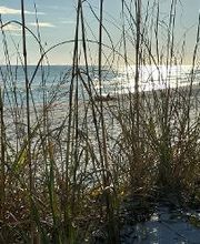 Gulf Coast Home Experts image 12