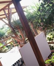 Agro Camping Invernaderito imagen 3