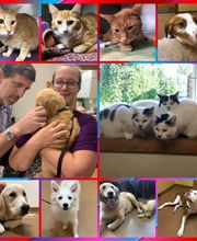 Manchester Veterinary Clinic image 17