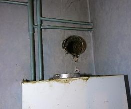 Adi Plus image 4