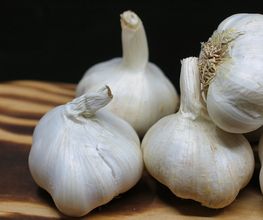 236111878-1-tuijfmsHAa1729521727915.jpeg