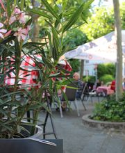 Iva's Croatian Grill & Bar Bild 2