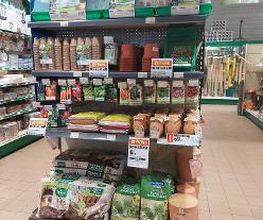 Gamm vert image 12