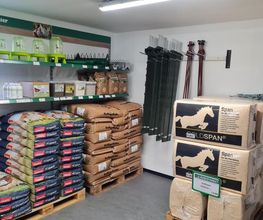 Kiebitzmarkt Tettenborn Bild 1