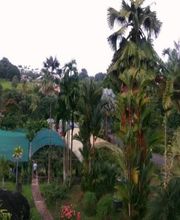 Pépinière Lesueur EARL image 3