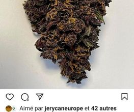 CBZEN CBD image 10