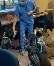 Parrett Veterinary Clinic image 5