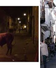 Casa Josefina imagen 10