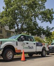 TreeTech TX image 6