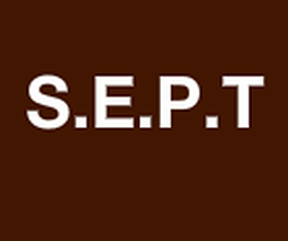 S.E.P.T image 2