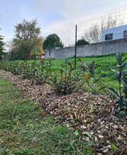 JULIEN LOTTE ESPACES VERTS image 15