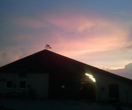 Hof Belvedere Bild 1