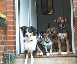 Die Hundegarten - "Kinder"