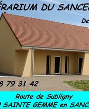 Frelat Denis image 4