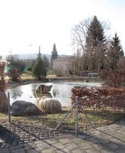 Alters- und Pflegeheim Sunneschyn Bild 8