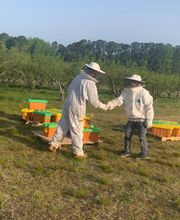 Ncvabeenucs.com image 10