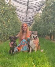 PAWtner Hundetraining Sabrina Rösch Bild 1