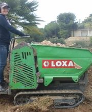 Concepts Paysages Végétaux image 1