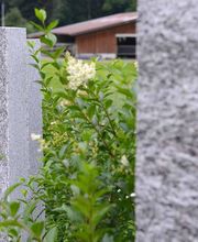 Gartengestaltung Andreas Jakob GmbH Bild 9