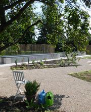 Baum und Garten Jörg Naggatz Bild 4