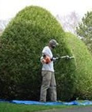 Benoiton Olivier image 1