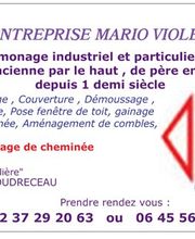 Violet Mario image 3