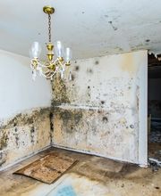 Wellington Environmental image 4