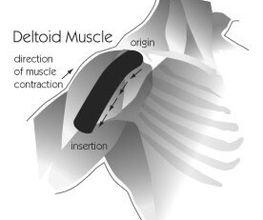 Physio-QI - Institut für physikalische Therapie Bild 4