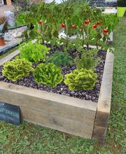 POINT JARDIN image 15