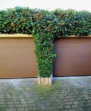 Marquardt Bauelemente & Holzhandel GmbH Bild 15