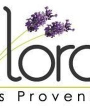 Elora Tours Provence image 2