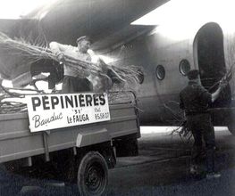 Pepinieres Bauduc image 7