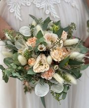 Blumen La Violetta Bild 7