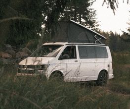VW California Beach Camper mit Aufstelldach in der Natur