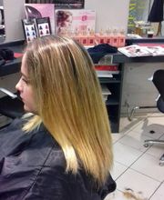 Evolu Tifs 3 image 9